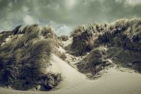 Flower still life for mother