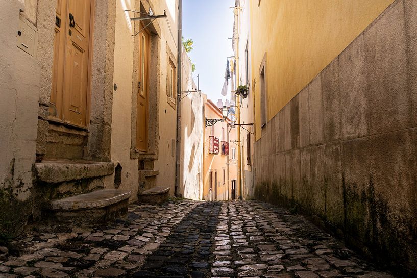 Alfama Alley by Ryan van Pelt