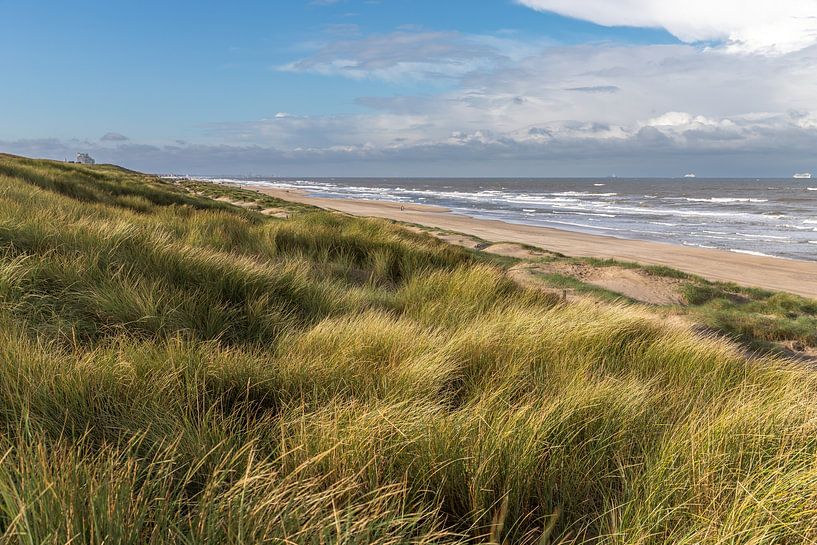 View of the North Sea from the dunes by Yanuschka | Fotografie Noordwijk