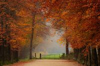 Umarmung des Herbstes