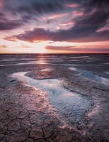 Evening sun over the Wadden Sea