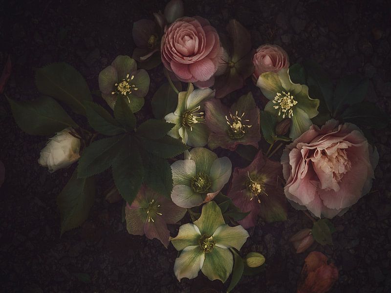 Glockenblumen und Kamelien von Marina de Wit