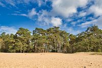 La dérive du sable à son plus beau