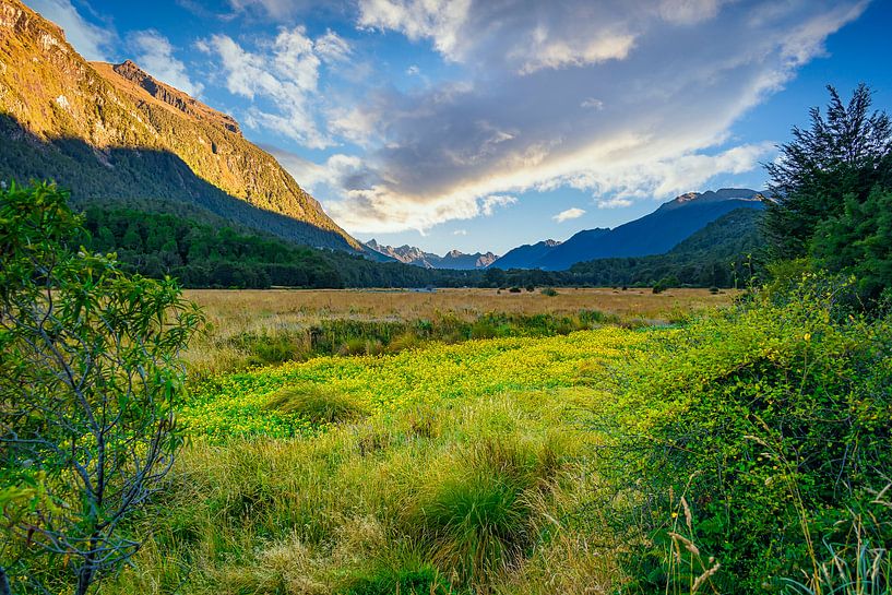 Eglinton-Tal auf dem Weg zum Milford Sound, New Zealand von Rietje Bulthuis