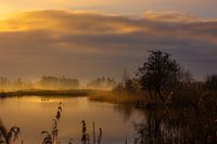 Sunrise in De Wieden