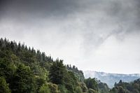 Arbres sur les montagnes