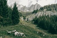 Hiking in the Wilder Kaiser