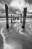 Wooden poles on the beach