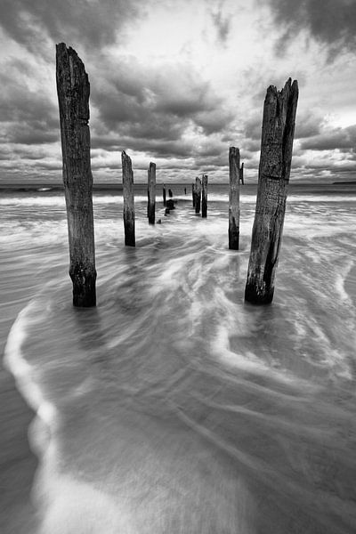 Wooden poles on the beach by Ralf Lehmann