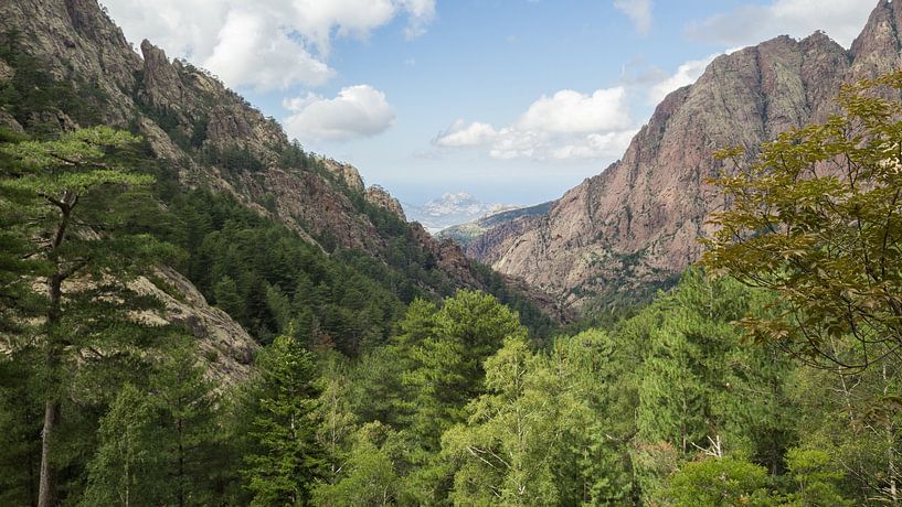 Zuflucht d'Asco Stagnu von André Hamerpagt
