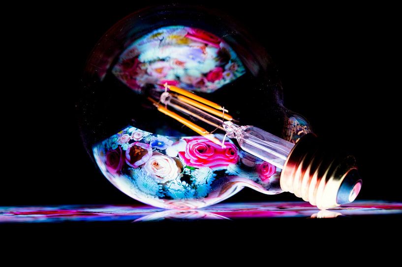 Art with Light Bulb by Wil Gulpen