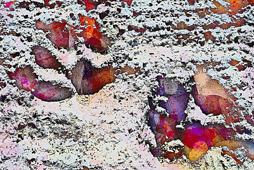 Pfotenabdrücke Energie von Dorothy Berry-Lound