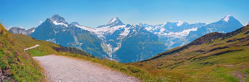 Vue depuis le sentier de randonnée Grindelwald First sur la belle région bernoise. par SusaZoom
