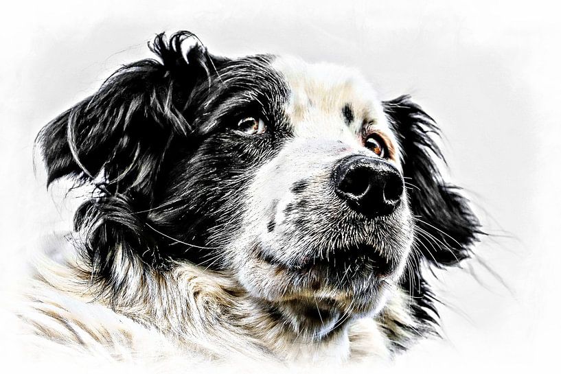 Quick par .  cathenco