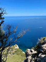 Mallorca - Landscape