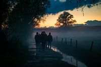 Abendspaziergang im Nebel
