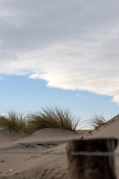 poteau en bois sur la plage par Sebastian Stef