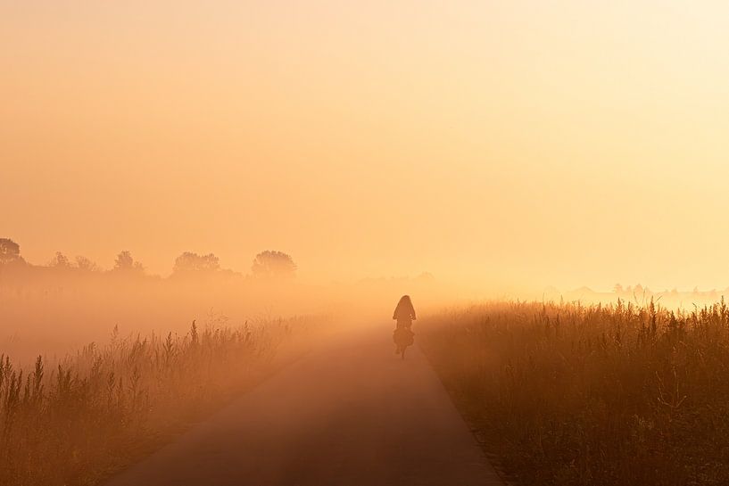 Polder mit Sonnenaufgang von Danielle Kramer