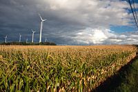 Windmills and threatening skies