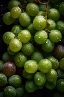 Frische Traube grüner Weintrauben