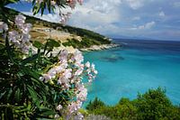 Blumen von Zakynthos