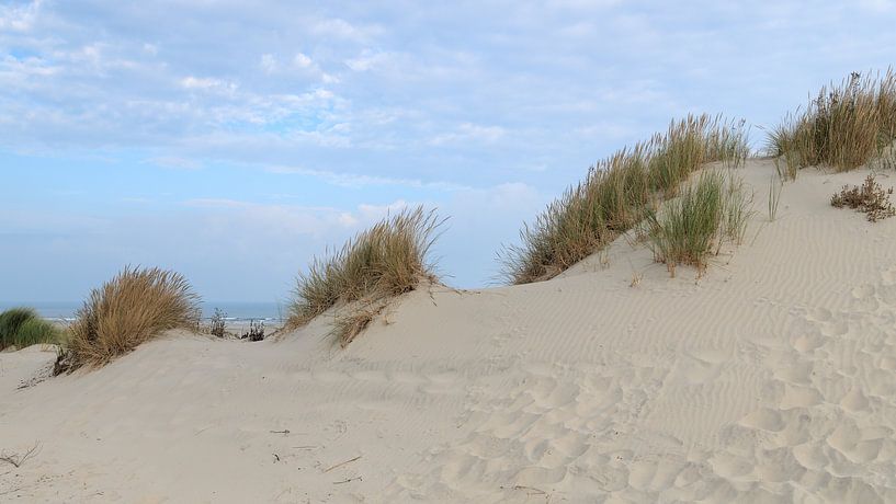 Montagnes néerlandaises par Atelier Liesjes
