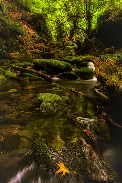 Kunst der Natur von Konstantinos Lagos