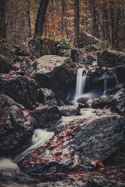 Ninglispo von Rik Verslype