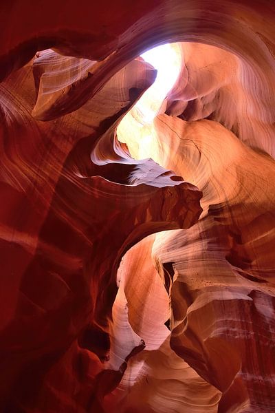 Roches déchiquetées #1 par Frank's Awesome Travels