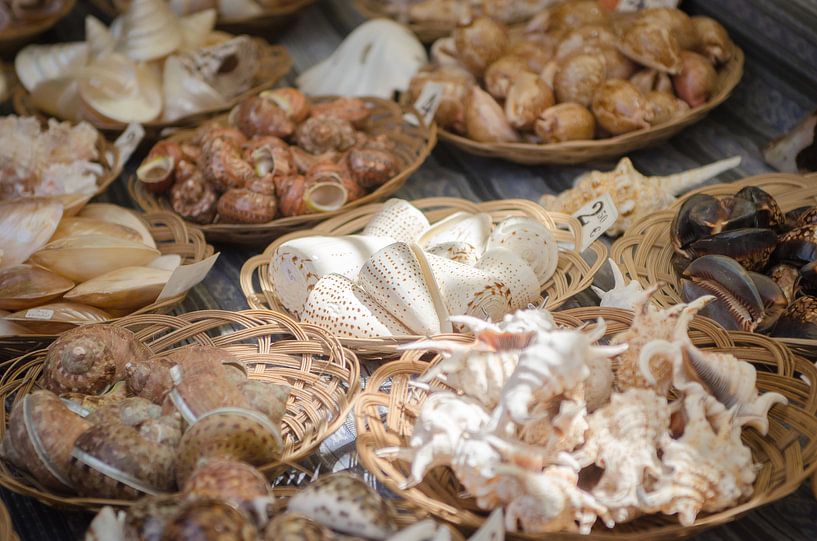 Muscheln zu verkaufen von Mark Bolijn
