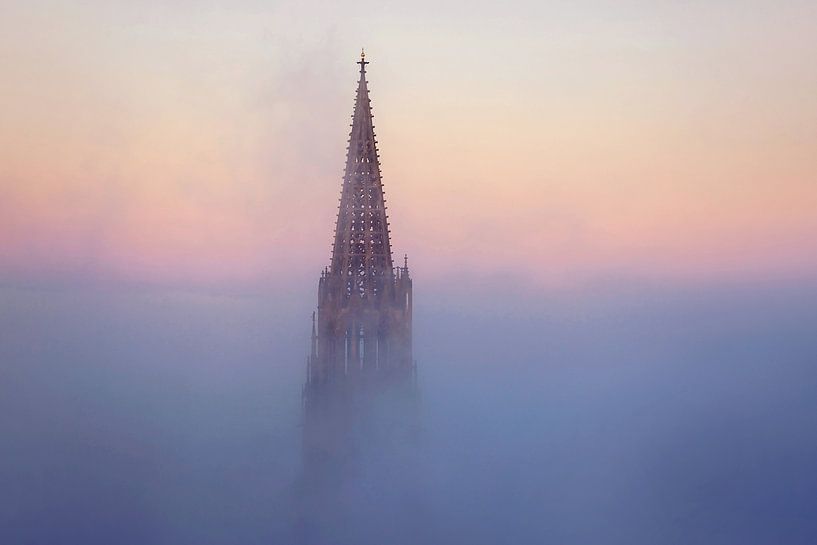 Freiburger Münster von Patrick Lohmüller