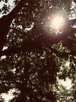 Nature de la couleur