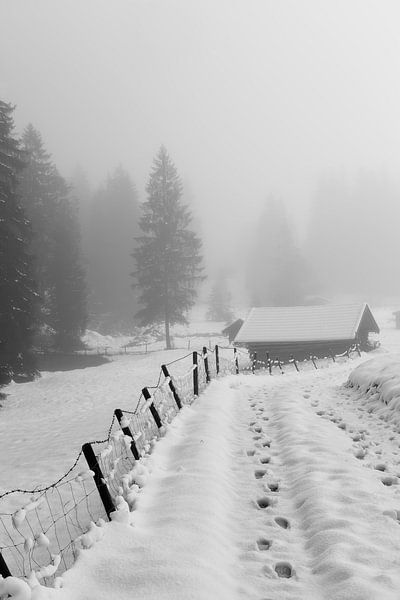 Home, sweet home par Olha Rohulya