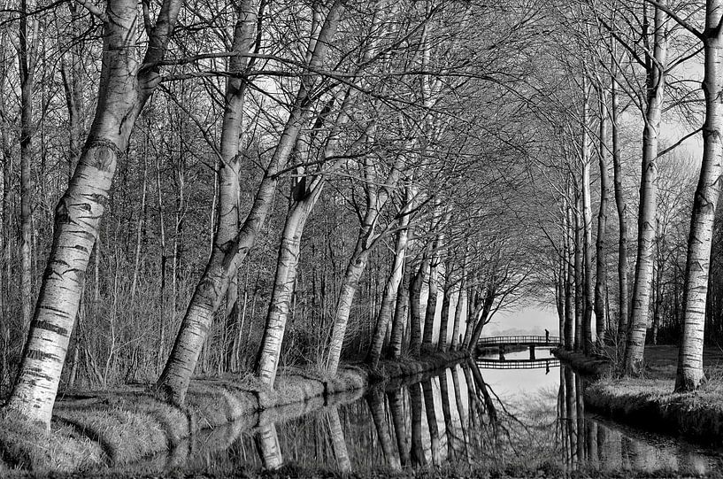 Wandelaar loopt over een brug  von Leo Huijzer