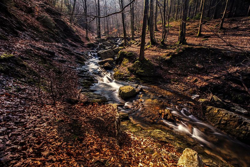 Ninglinspo von Rob Boon