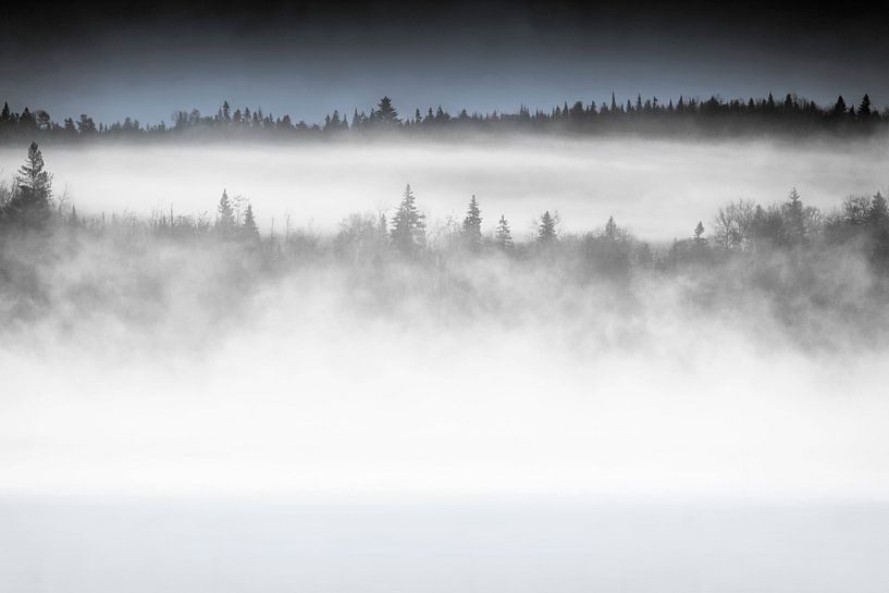 Morning Mist  by Renald Bourque