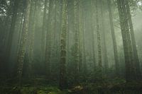 Une terre d'histoires