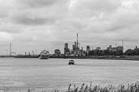 Boot auf der Schelde