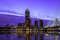 Skyline von Rotterdam bei Nacht