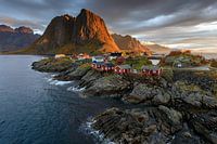 Lofoten-Hamnøy