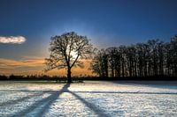 Späte Nachmittagssonne im Winter