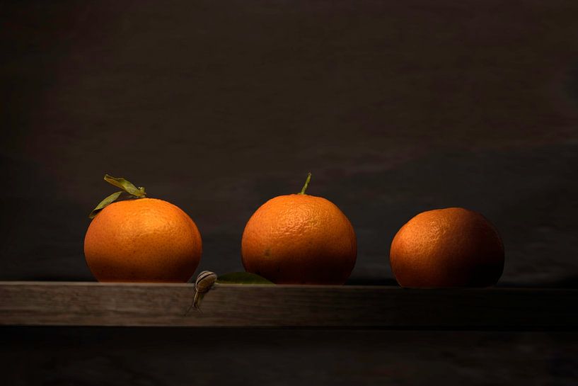 Three Manderines by Christiane Calmbacher