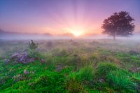 Lande de soleil levant Bakkeveen