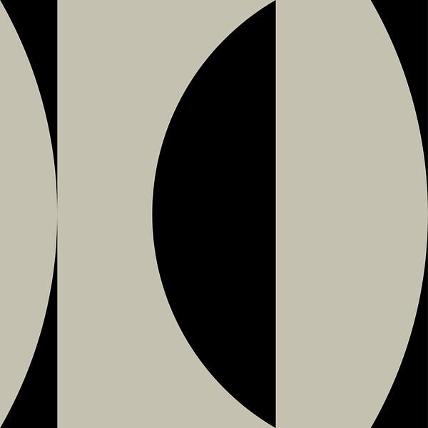 Zwarte geometrische vormen en lijnen nr. 3 van Dina Dankers