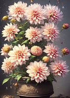 Dahlia Flowers