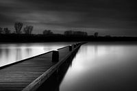 Rotterdam, Walk into the park