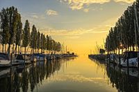 Morgens im Jachthafen von Moos - Halbinsel Höri