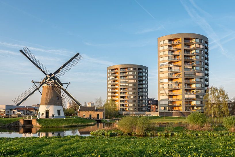 Mallemolen in Gouda von Rinus Lasschuyt Fotografie