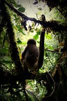 Nekane op de uitkijk