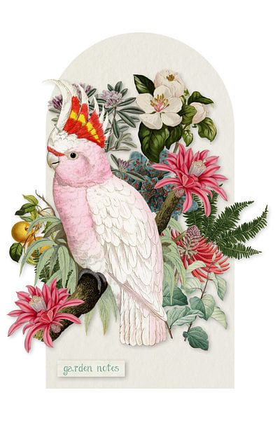 Inca cockatoo - collage remix par Marja van den Hurk